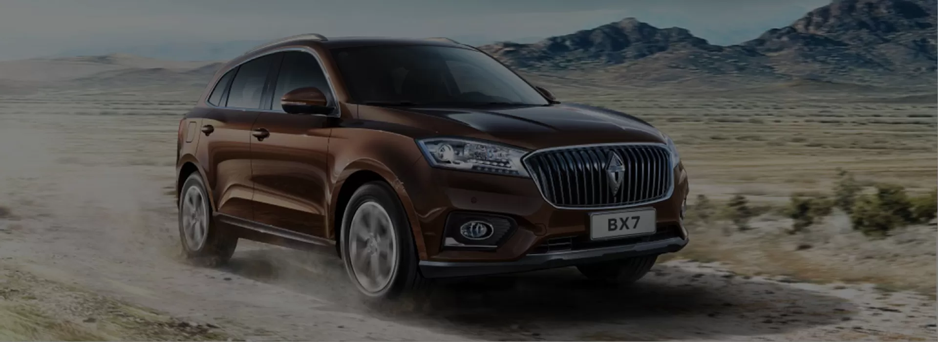 Borgward Used Car Factory-Direct Exporter