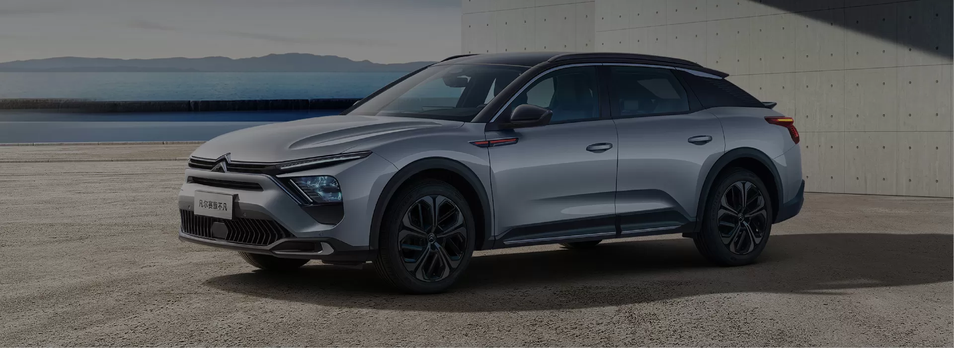 Citroen Used Car Factory-Direct Exporter