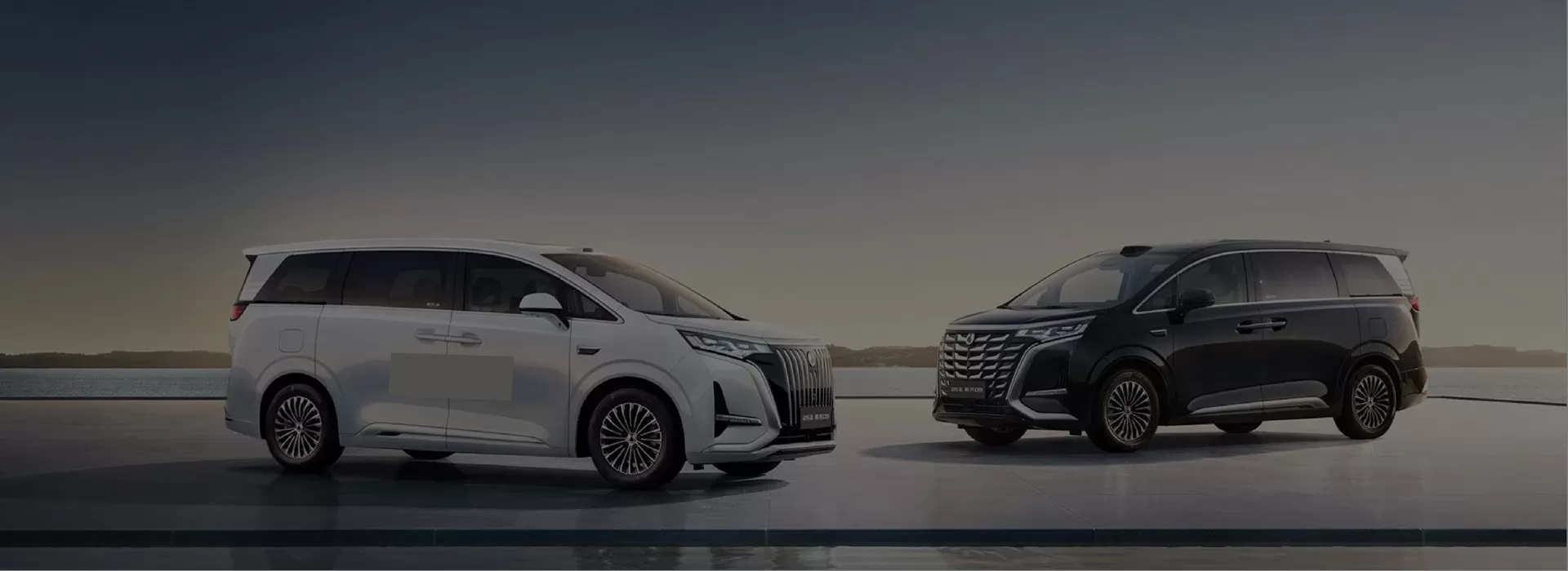 Denza Used Car Factory-Direct Exporter