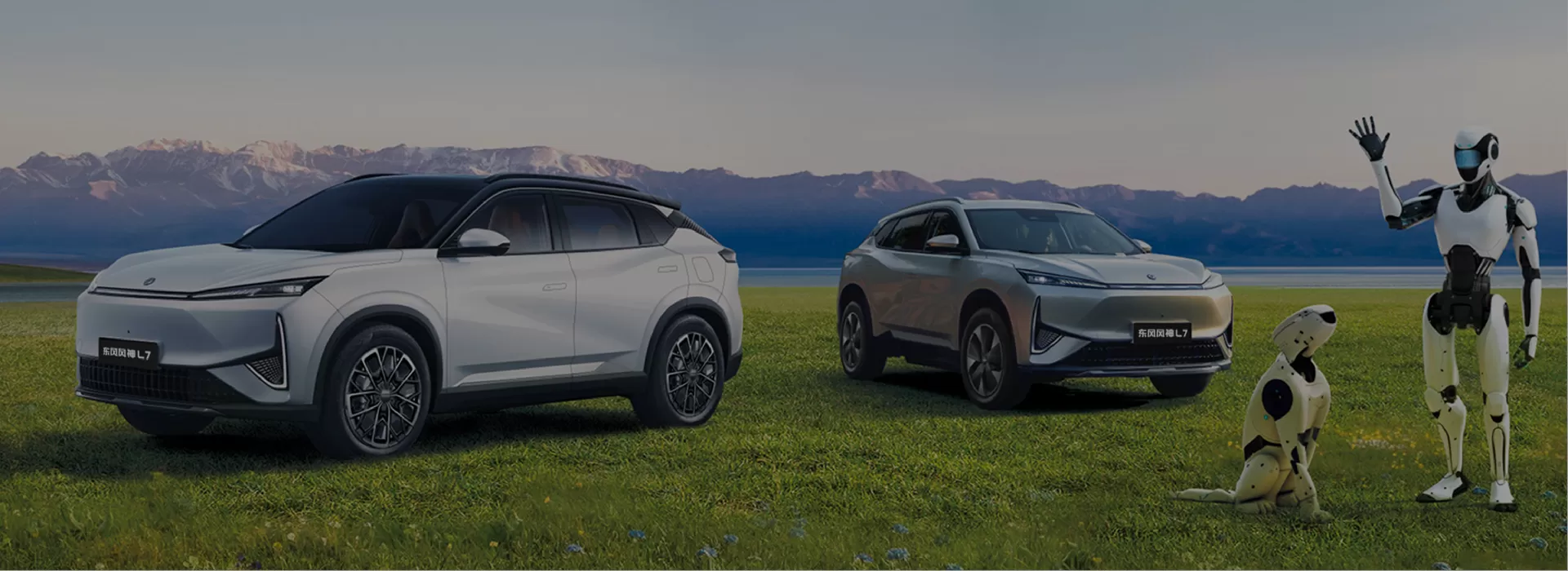 Dongfeng Aeolus Used Car Factory-Direct Exporter