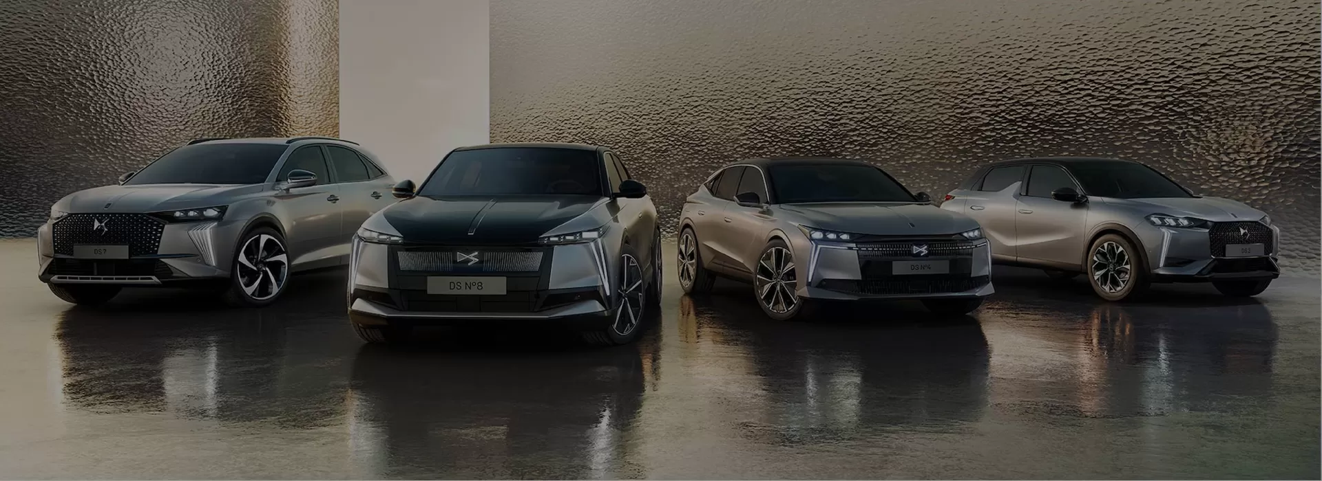 DS Used Car Factory-Direct Exporter