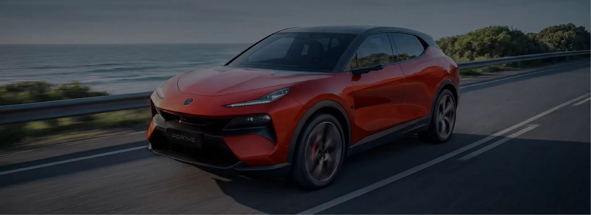 Lotus Used Car Factory-Direct Exporter