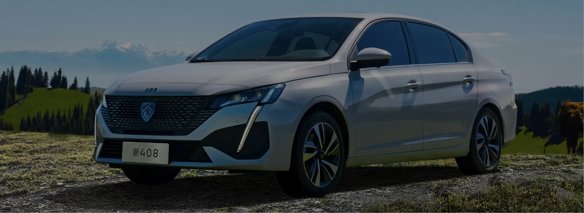 Peugeot New Car Factory-Direct Exporter