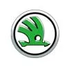 Used Skoda Car