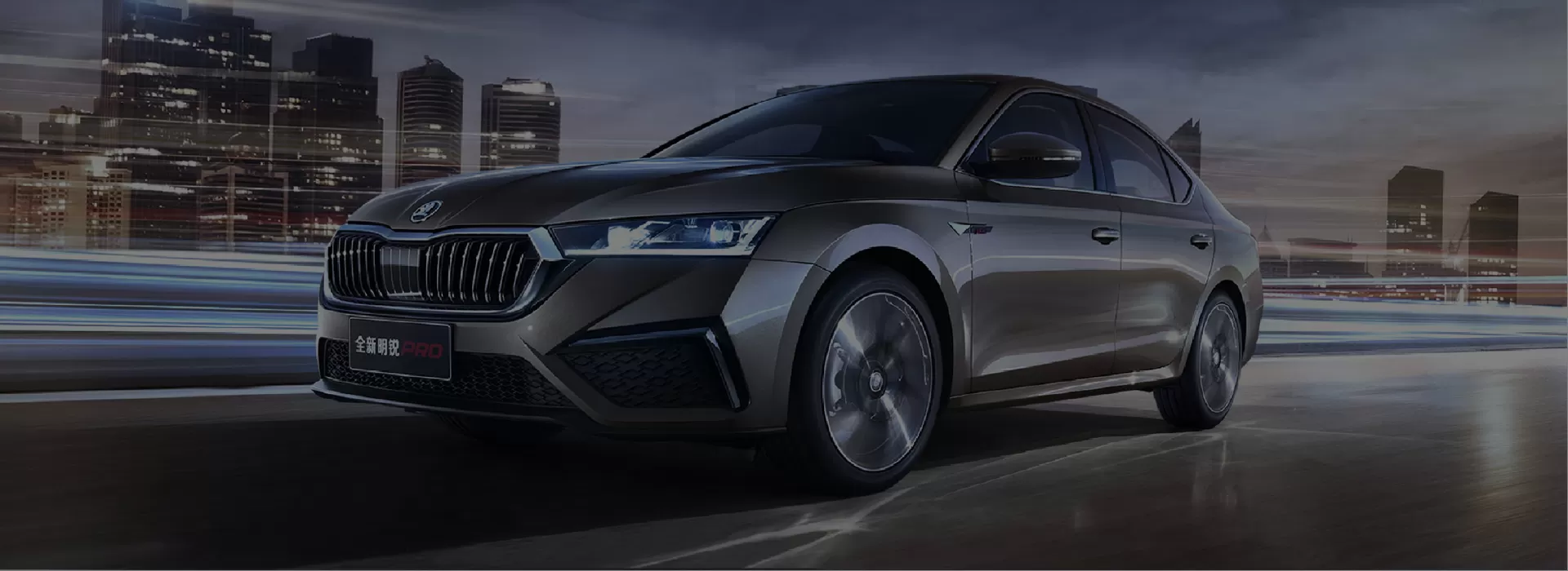 Skoda Used Car Factory-Direct Exporter