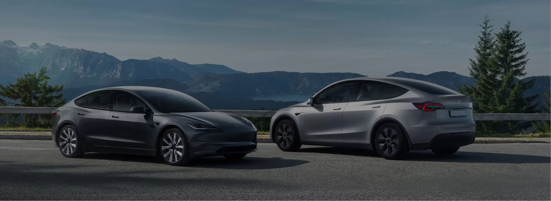 Tesla Used Car Factory-Direct Exporter