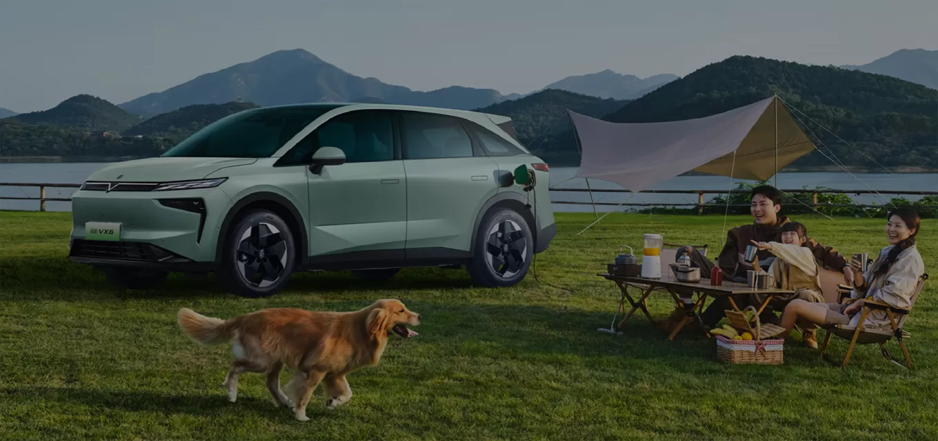Why Choose Our Venucia New Car