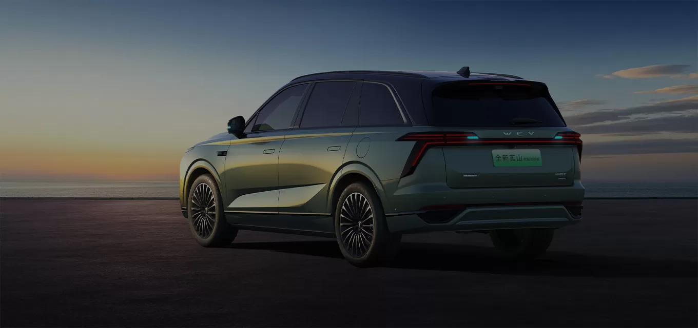 Why Choose Our Wey Used Car
