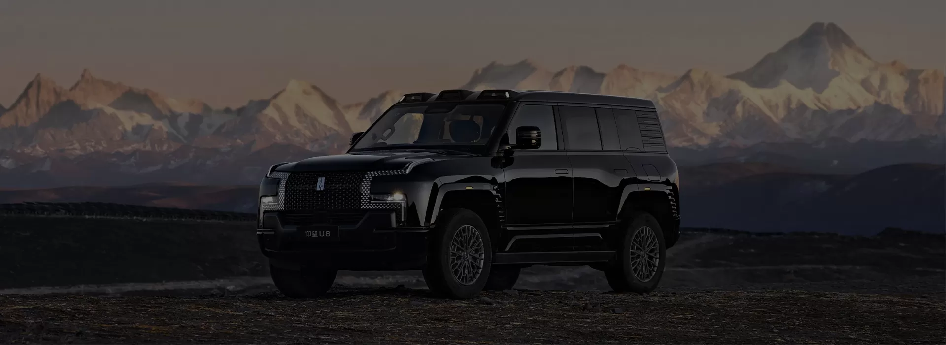 Yangwang Used Car Factory-Direct Exporter